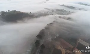 Mùa săn mây ở Đà Lạt