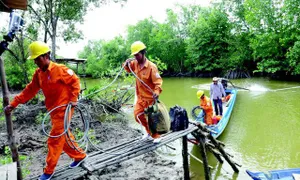 Điện lực miền Nam tri ân các thương binh, liệt sỹ