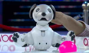 Xem chú chó robot Aibo trổ tài