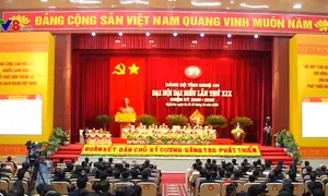 Khai mạc Đại hội Đảng bộ tỉnh Nghệ An