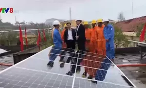 Bàn giao công trình điện mặt trời cho huyện đảo Lý Sơn