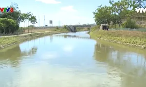 Hà Tĩnh vận hành liên hồ chứa điều tiết nước mùa nắng hạn