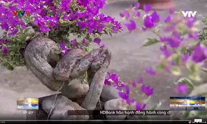 Bông giấy bonsai - ngã rẽ cho làm giàu.