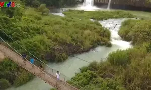 Đắk Lắk: phát động chương trình “người Việt Nam đi du lịch Việt Nam” tại Tây nguyên.