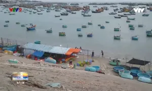 Cảnh báo tình trạng bán hải sản gian lận ở làng chài Mũi Né, Phan Thiết.