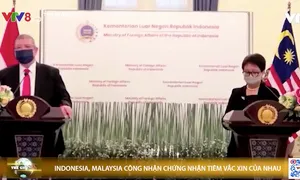 Indonesia, Malaysia công nhận chứng nhận tiêm vắc xin ngừa COVID-19 của nhau