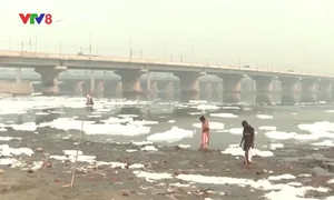 Bọt độc hại bao phủ dòng sông Yamuna tại Ấn Độ