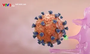 WHO cảnh báo "không được tự mãn trước Omicron"