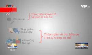 Cảnh báo ngộ độc thủy ngân từ nhiệt kế ở trẻ em