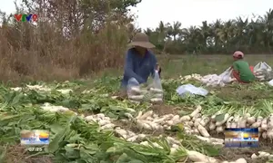 Học sinh sáng chế máy rửa rau củ tại ruộng