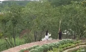 Nỗ lực giữ màu xanh cho Đà Lạt
