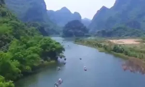 Rừng vối cổ thụ giữa Tràng An
