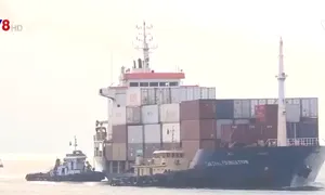 Hà Tĩnh phát triển vận tải hàng container trên biển