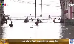 Cấp bách ứng phó lũ lụt ven biển