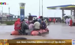 Gia tăng thương vong do lũ lụt tại Ấn Độ