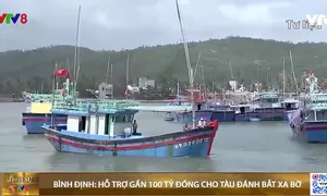 Bình Định hỗ trợ gần 100 tỷ đồng cho tàu đánh bắt cá xa bờ