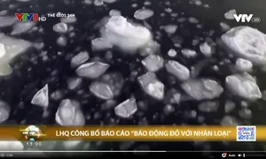 LHQ công bố báo cáo "Báo động đỏ với nhân loại"