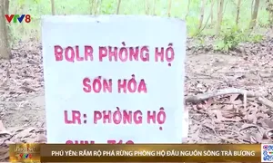 Phú Yên: Rầm rộ phá rừng phòng hộ đầu nguồn sông Trà Bương