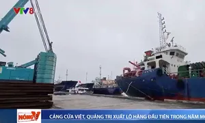 Cảng Cửa Việt xuất lô hàng đầu tiên trong năm mới