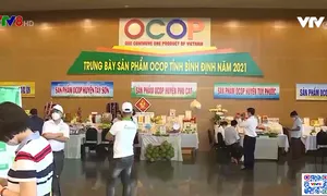 Bình Định hiệu quả chương trình OCOP