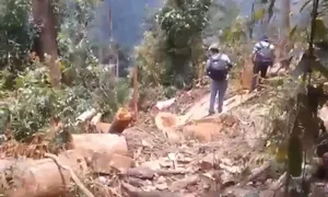 Khánh Hòa: Chưa xử lý triệt để việc rừng phòng hộ bị phá tan hoang