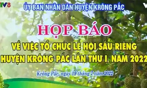 Đắk Lắk: Họp báo Lễ hội sầu riêng Krông Pắc