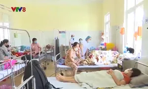 Gia Lai: Sốt xuất huyết Dengue diễn biến phức tạp