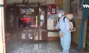 Hà Tĩnh: Sốt xuất huyết diễn biến phức tạp