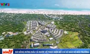 Đà Nẵng đứng đầu cả nước về thực hiện bộ chỉ số bảo vệ môi trường năm 2021