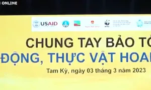 Phát động chương trình "Tam Kỳ - Thành phố không thịt động vật hoang dã"