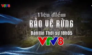 Chung tay "Bảo vệ rừng" cùng VTV8