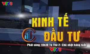 Kinh tế đầu tư trên VTV8