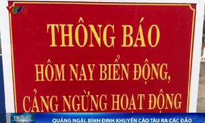 Bình Định, Quảng Ngãi khuyến cáo tạm dừng hoạt động vận chuyển ra đảo khi thời tiết diễn biến xấu