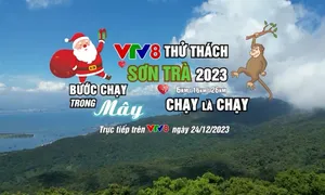 Hào hứng giải chạy "VTV8 - Thử thách Sơn Trà 2023"