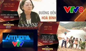 VTV8 có 2 tác phẩm được đề cử cho giải thưởng "Ấn tượng VTV"