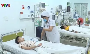 Khánh Hòa: Nhiều ca sốt xuất huyết nhập viện