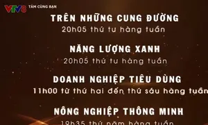 Giới thiệu chương trình hay trên VTV8