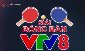 Giải bóng bàn Tranh Cup VTV8 lần thứ VI - 2023