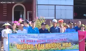 Mô hình Đường tàu - Đường hoa