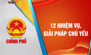 Thời sự VTV8 phản ánh về Nghị quyết 01