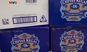 Phú Yên tạm giữ hơn 1900 chai rượu Chivas 18 không có hóa đơn chứng từ