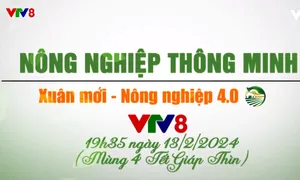 Nông nghiệp thông minh Tết 2024: Xuân mới - Nông nghiệp 4.0