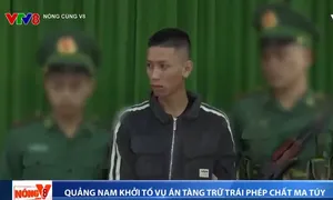 Bộ đội Biên phòng Quảng Nam khởi tố vụ án tàng trữ trái phép chất ma túy