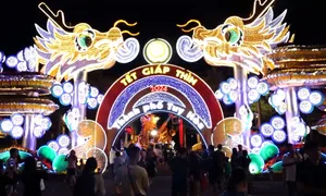 Phú Yên: Khai trương đường hoa Xuân Giáp Thìn