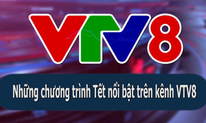 Những chương trình Tết nổi bật trên kênh VTV8