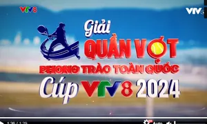 Đăng ký Giải Quần vợt phong trào toàn quốc Cúp VTV8 2024