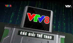 Các Giải thể thao tranh Cup VTV8 trong năm 2024 - Điểm hẹn của những người yêu thể thao toàn quốc