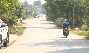 Quảng Nam: Hệ thống đường tỉnh cần đầu tư, nâng cấp