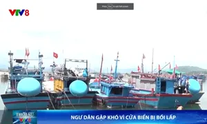 Ngư dân Quảng Ngãi gặp khó vì cửa biển bị bồi lấp