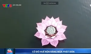 Cố đô Huế rộn ràng mùa Phật Đản